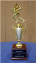 Fantasy Football League Trophy