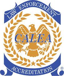 Calea logo Opens in new window